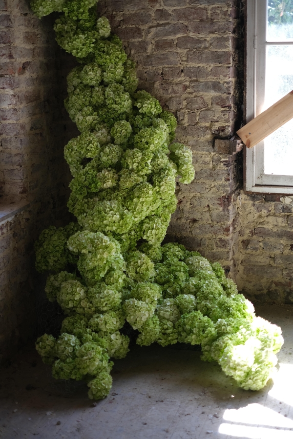 Florists Leone Floral Studio