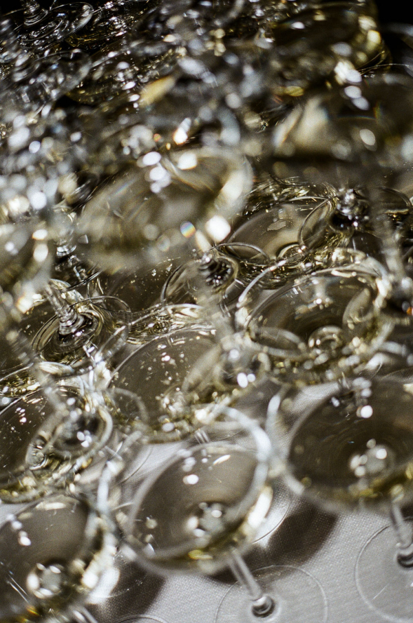 Photographers Duey Photo