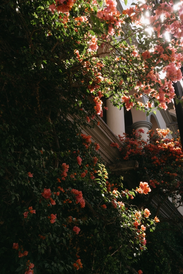 Photographers Sky and Savvy Photo