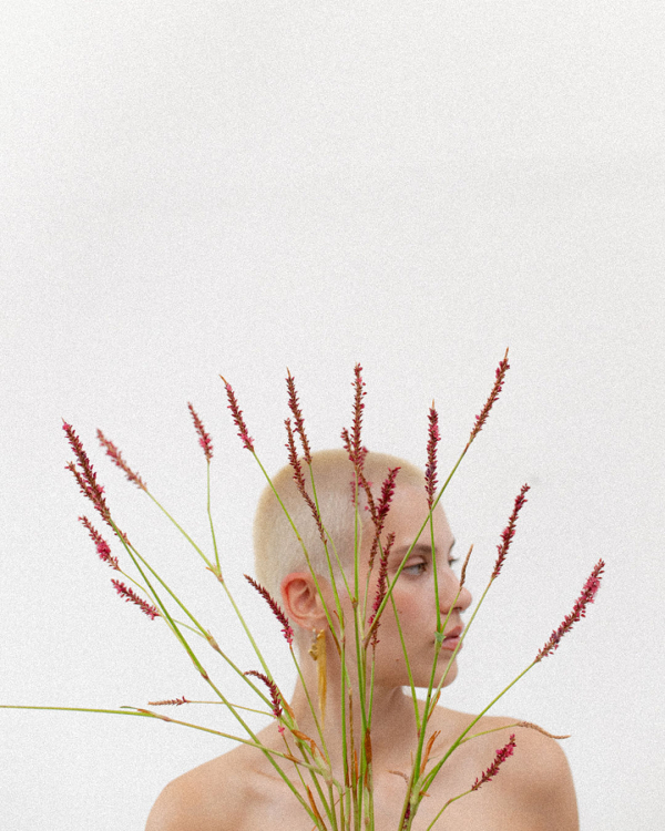 A Bold Floral Romance