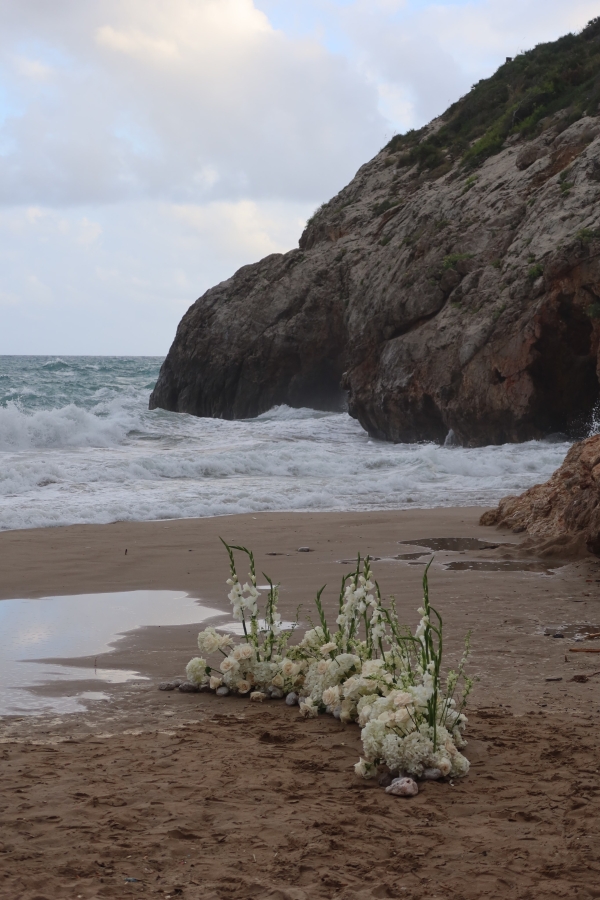 Content Creators Vow Visuals