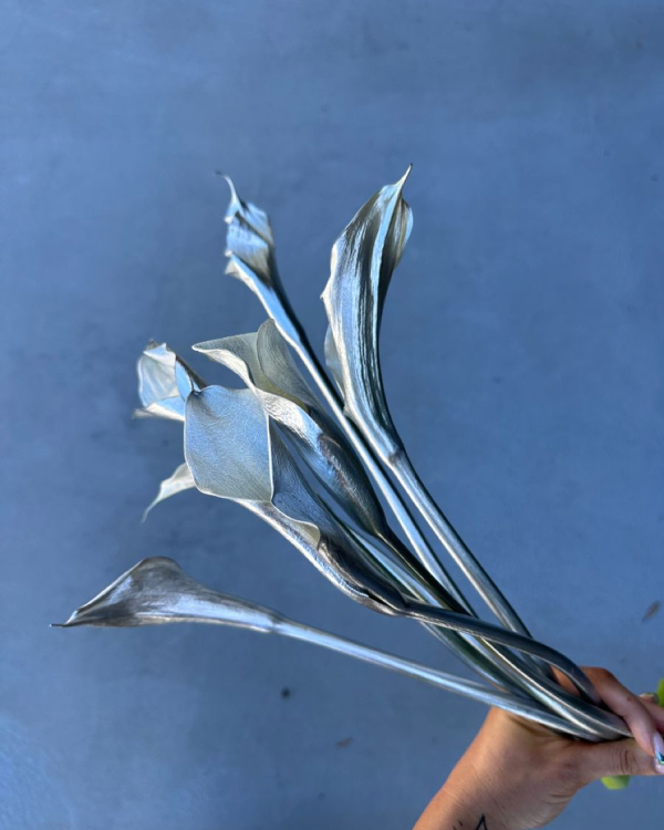 14 Major Floral Trends for 2026