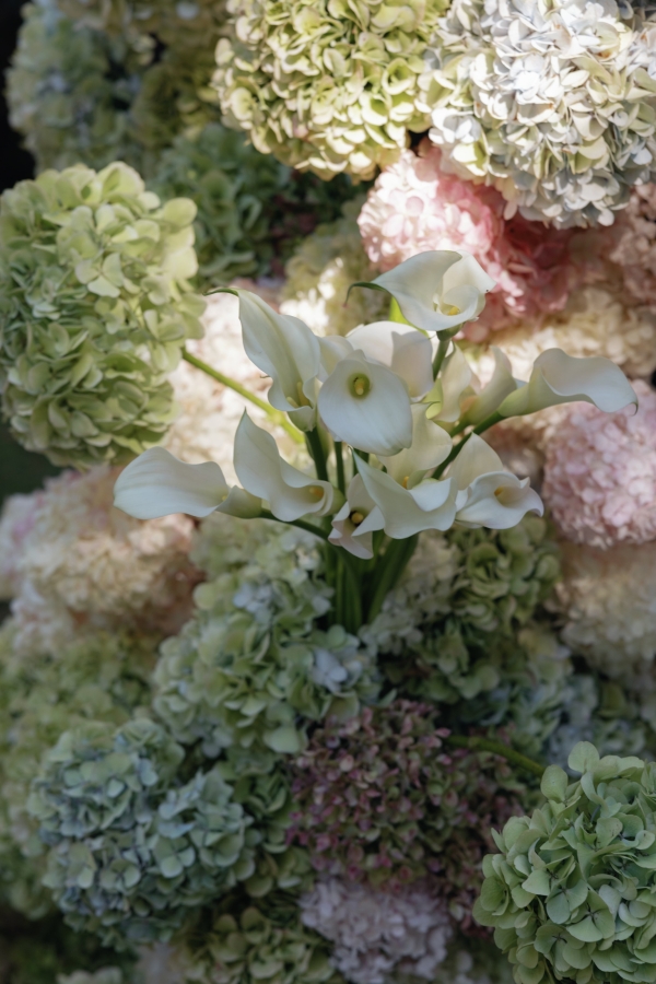 Florists BY.MAG.NOLIA