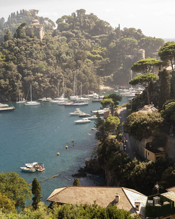 How to Plan a Micro-Wedding: 7 Expert Tips for an Intimate and Stylish Celebration