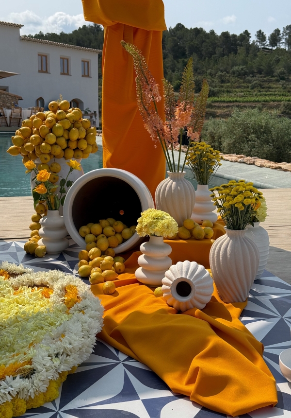 Content Creators Vow Visuals