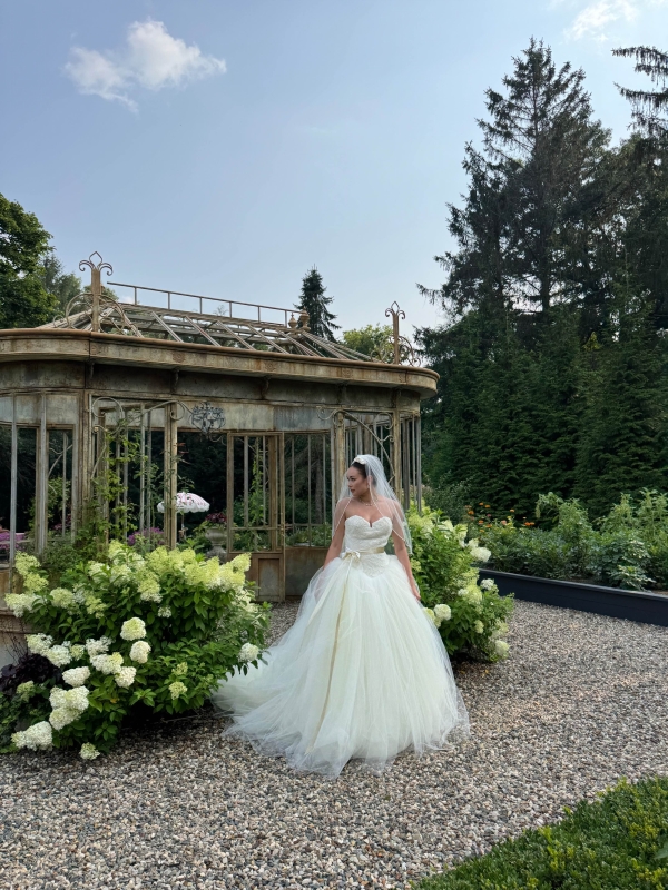 Content Creators Social Brides Collective