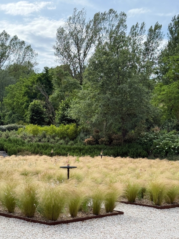 Content Creators Madeline Anne