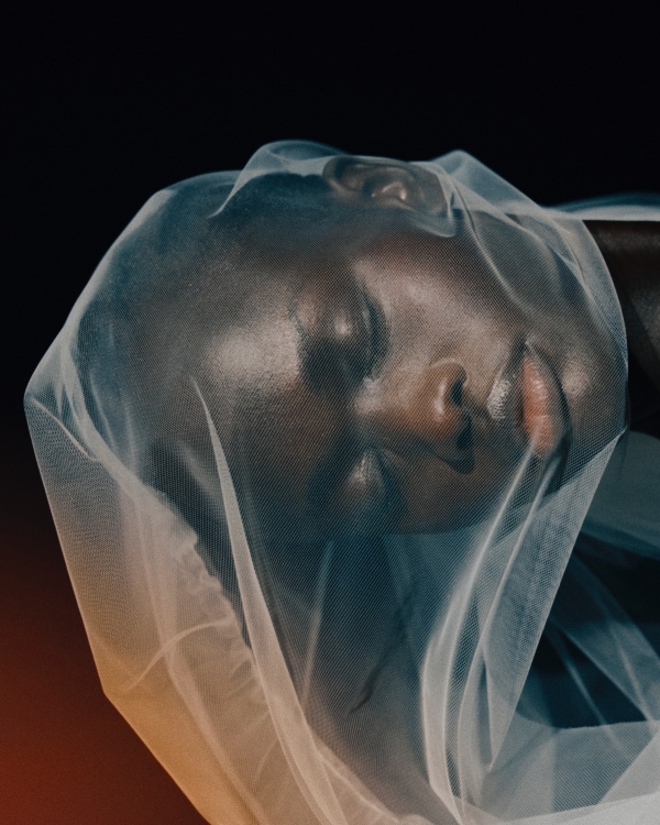 WED Launches Bridal 2026 Collection