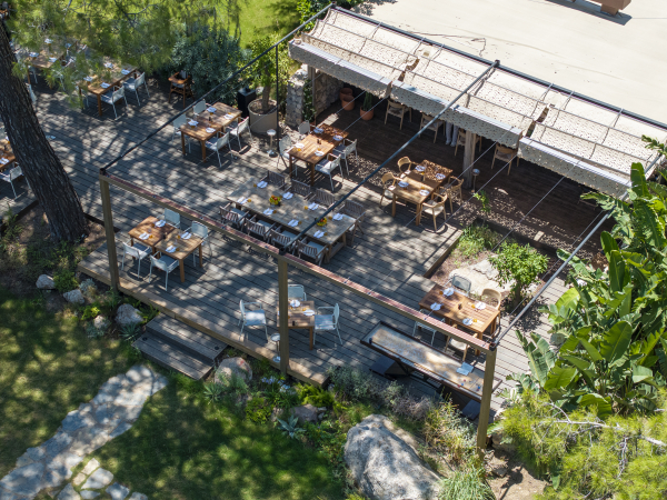 Venues Yazz Collective