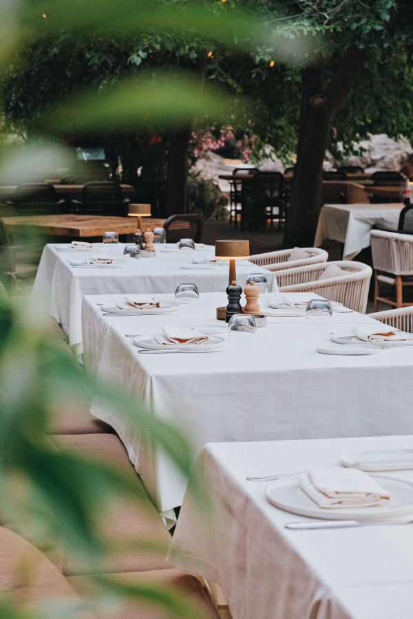 Venues Yazz Collective