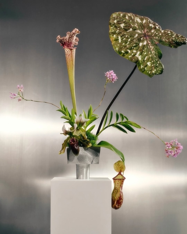 14 Major Floral Trends for 2026