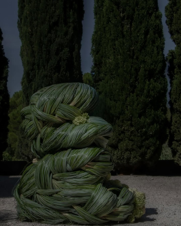 14 Major Floral Trends for 2026