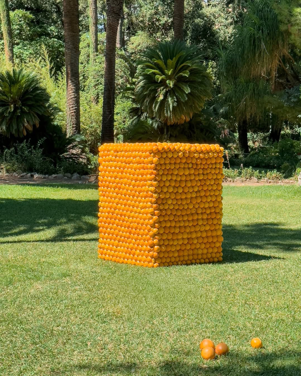 14 Major Floral Trends for 2026