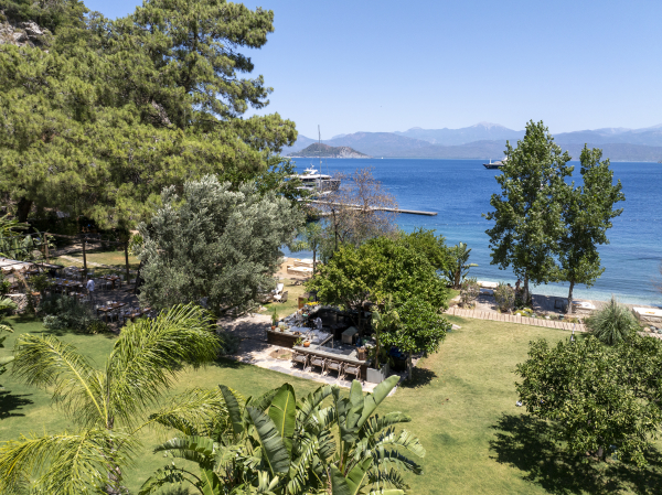 Venues Yazz Collective