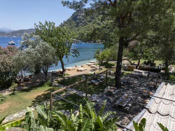 Venues Yazz Collective