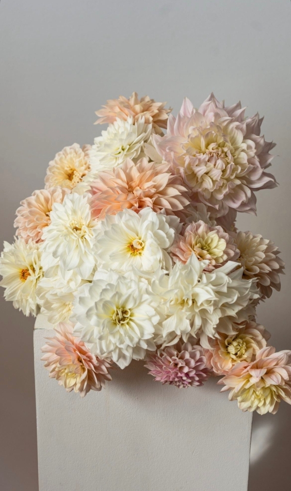 Florists Angie Flowers Studio