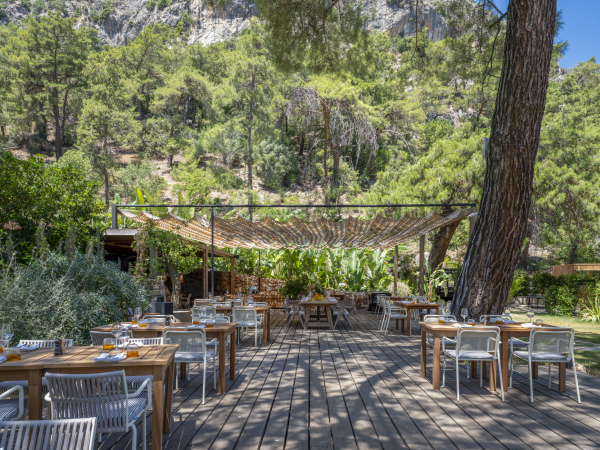 Venues Yazz Collective