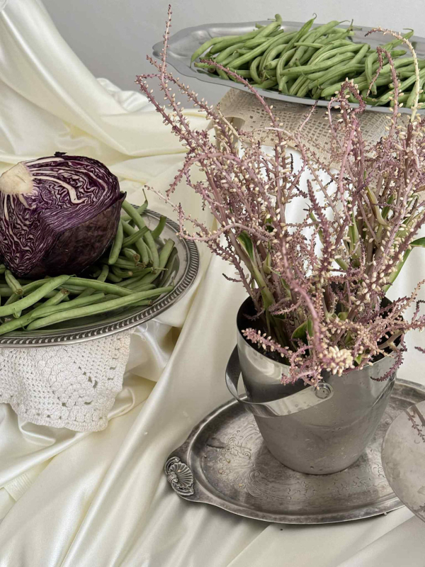 Photographers Vanessa Mathieu Pineda