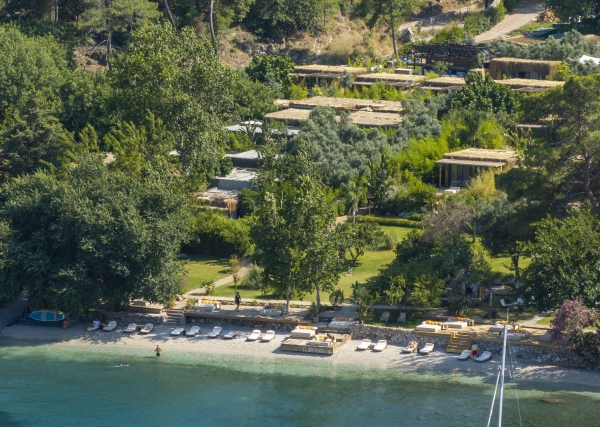 Venues Yazz Collective