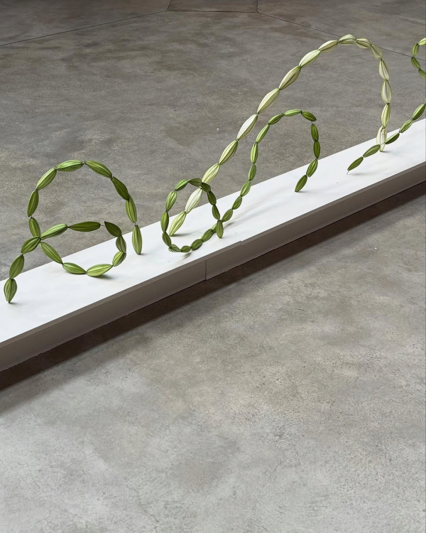 14 Major Floral Trends for 2026