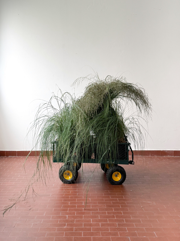 Florists Marta Sandri Studio