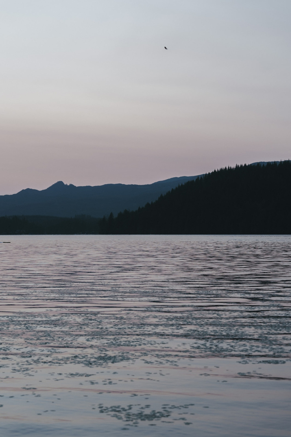 Photographers Jack Henry