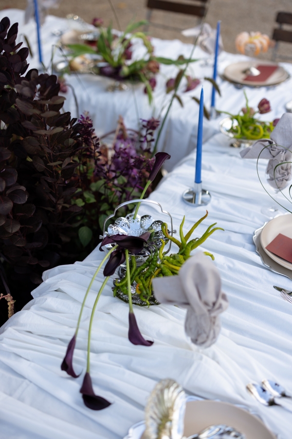 Florists Botanicals By B