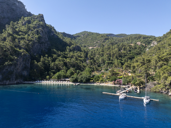 Venues Yazz Collective