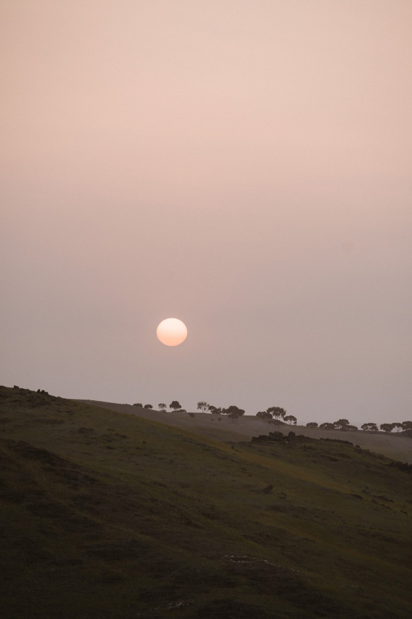 Photographers Anastasia Abramova-Guendel