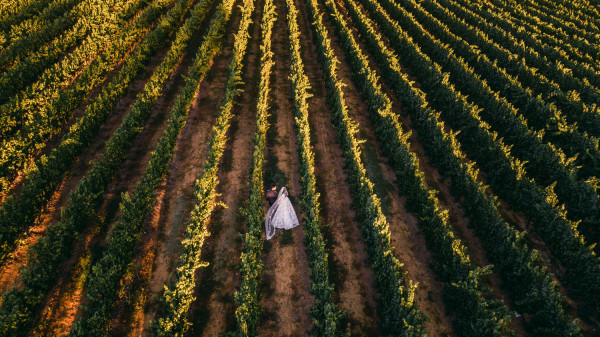 Photographers John & Joseph