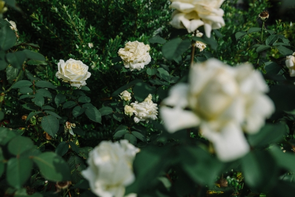 Photographers Felix Boniface