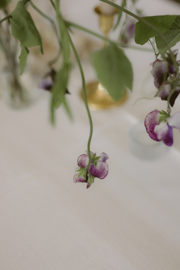 Photographers Melissa Sung