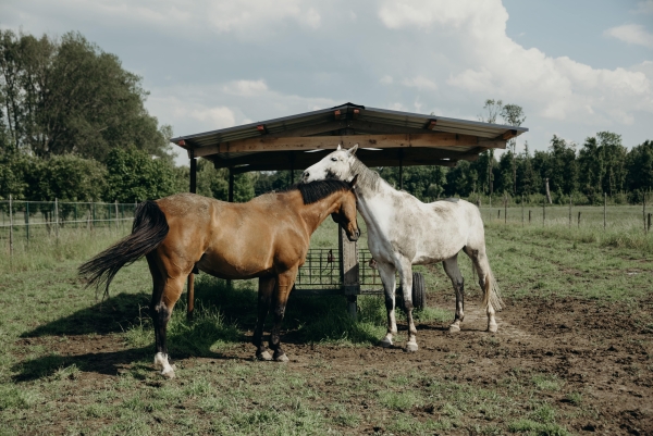 Photographers Felix Boniface