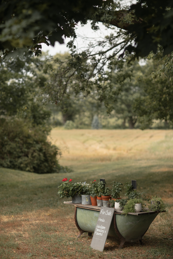 Photographers Melissa Sung