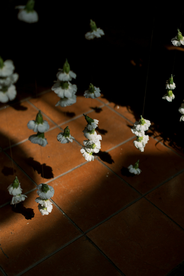 Photographers Olive and Oath