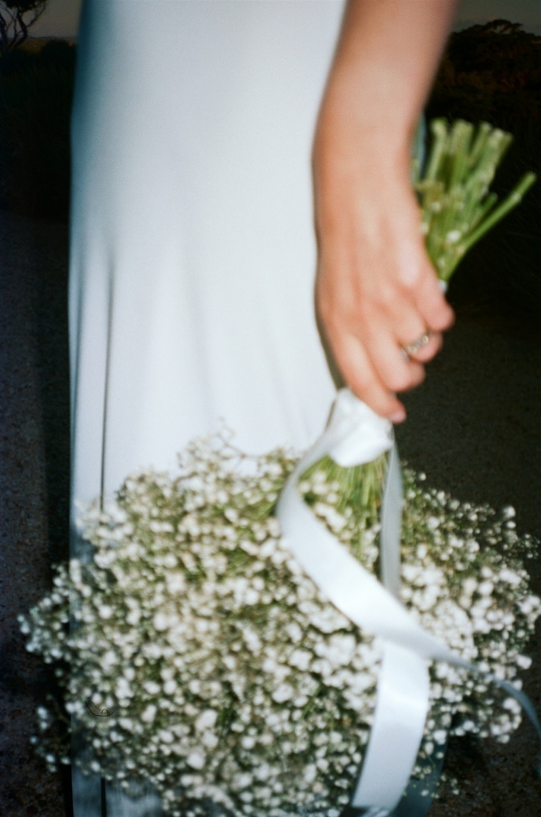 Photographers Petite Visuals