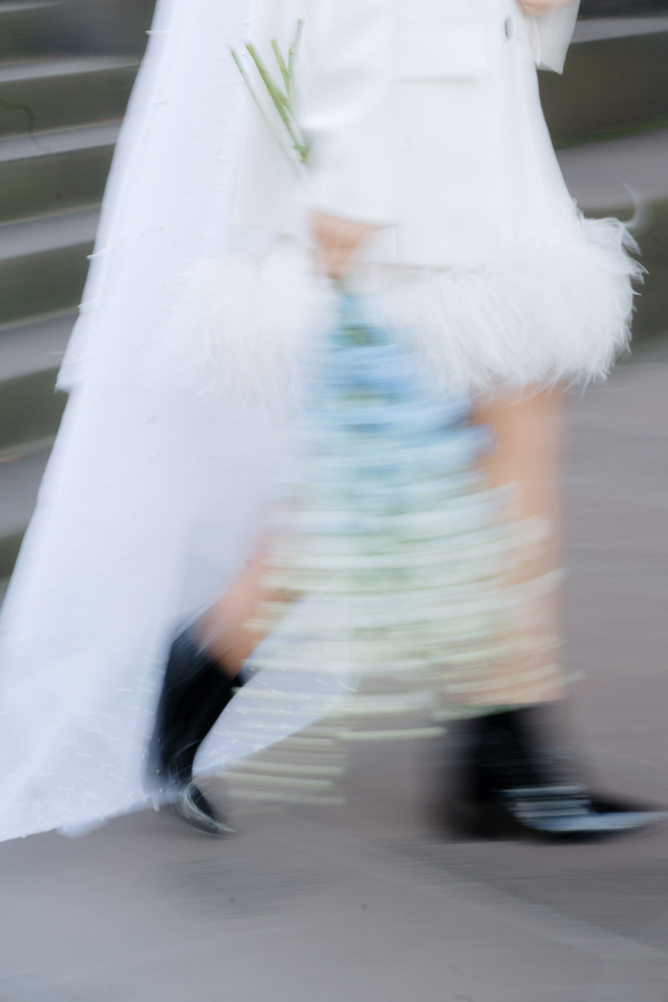 Photographers Petite Visuals