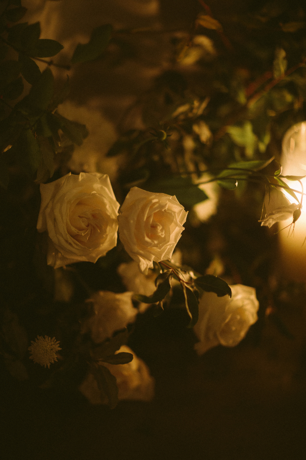 Photographers Melissa Sung