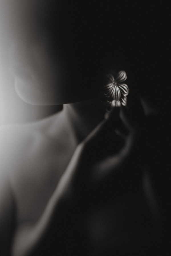 Photographers Arte Magna