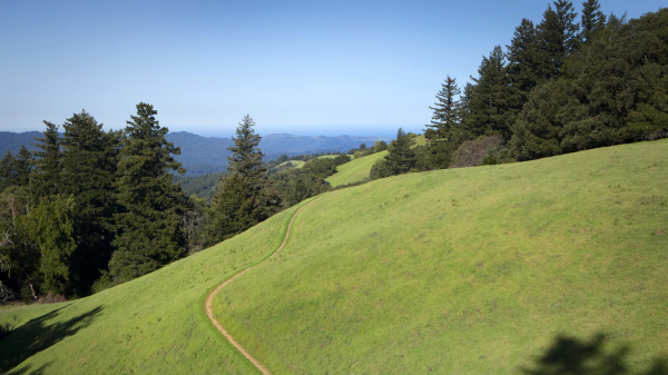 Venues Rosewood Sand Hill