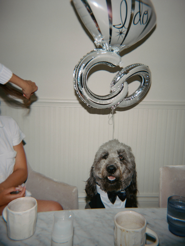 An intimate wedding at parent's residence | Interview with the bride about Persian Abgoosht, heartfelt speeches, and joyful dancing