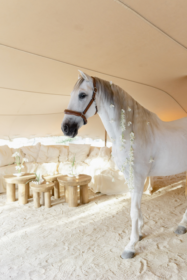 Planners Marianna Idirin