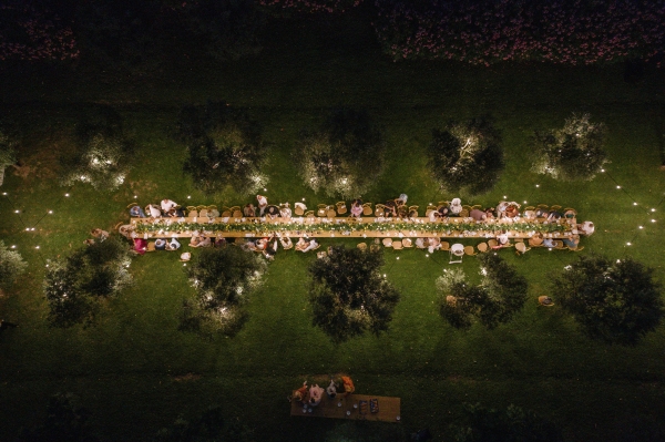 Planners The Wedding Company