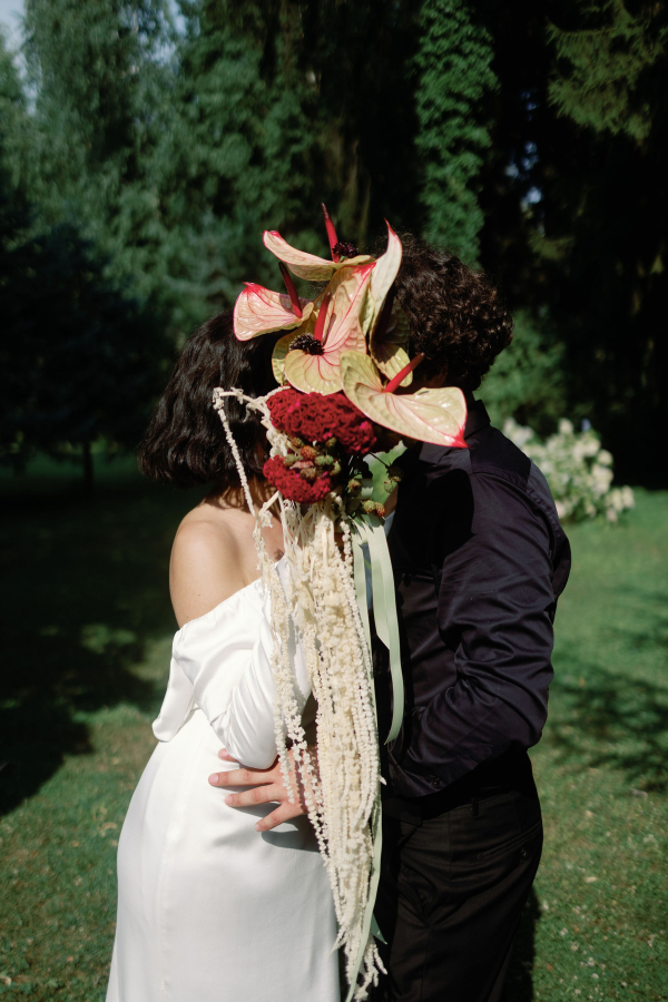 Photographers Symphony of Light