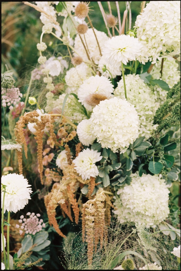 Photographers Tomasz Wagner