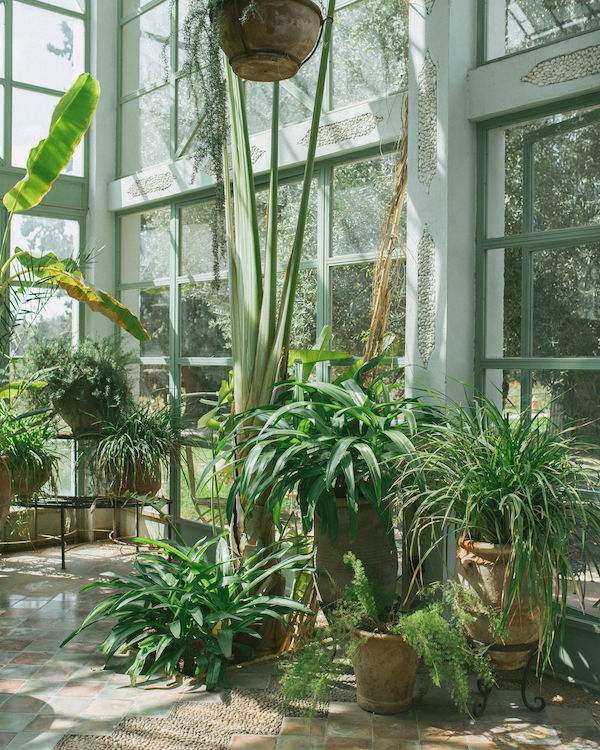 A Joyful Wedding in the Gardens of Marrakech