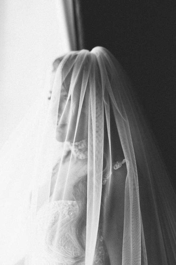 Photographers The Lumière Collective