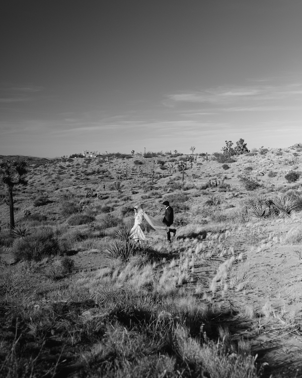 Serene Joshua Tree Elopement