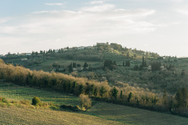 Venues Il Borgo di Vignamaggio