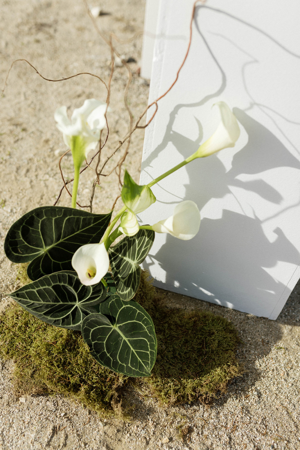 Photographers Nikki Strekowski